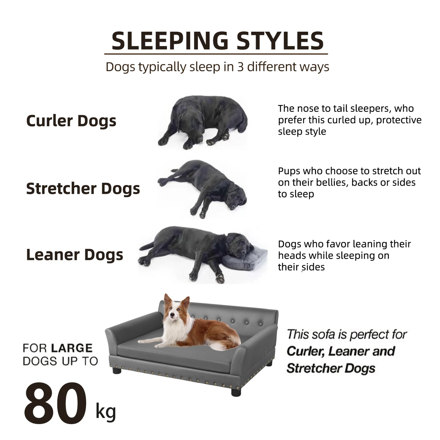 Bingopaw Elevated Pet Sofa Bed With Removable Microfiber Cushion