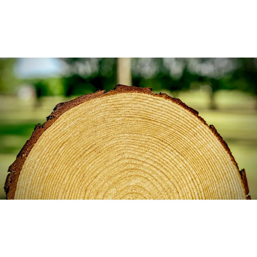 Set of (12) 9-11 inch Wood Slices for centerpieces! Wood Slice centerpieces, Wood Rounds, Tree Slices (9-11 inch 12 Pack)