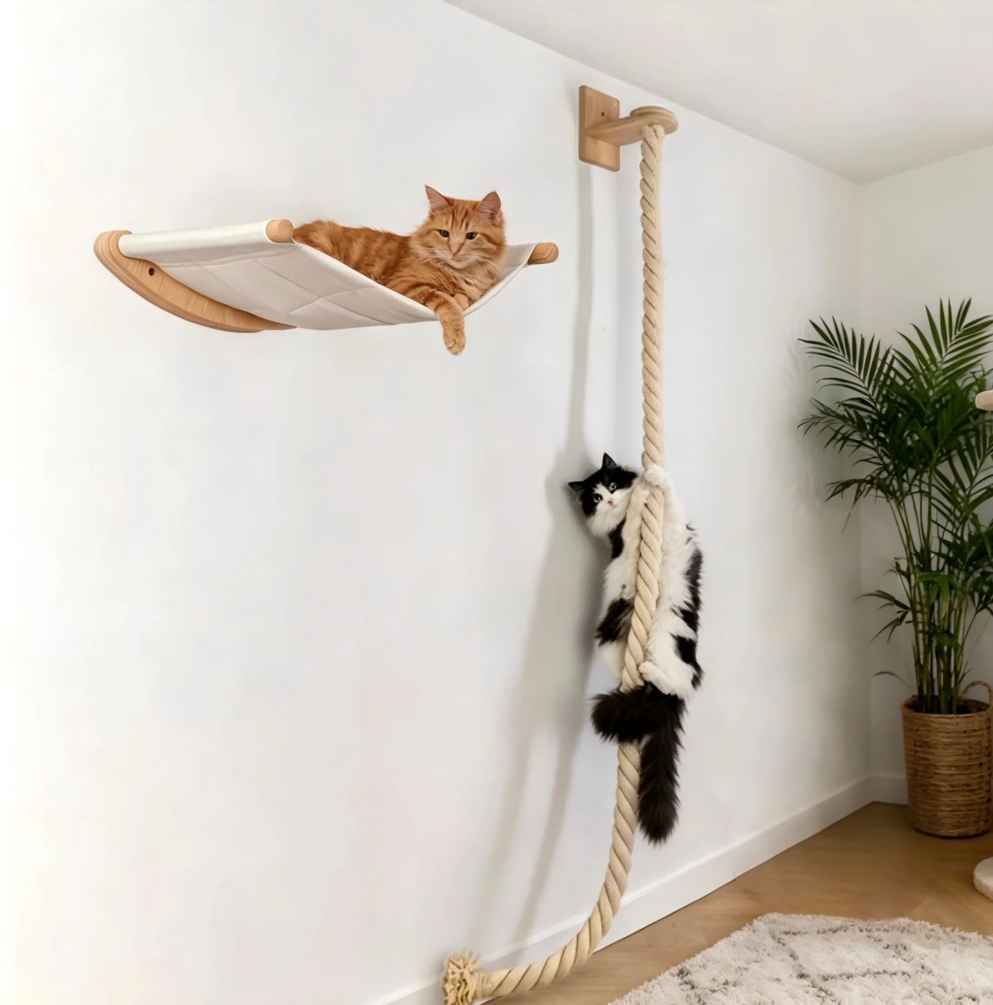 CWV Wall Mounted Cat Hammock and Climbing Shelves Indoor Cats