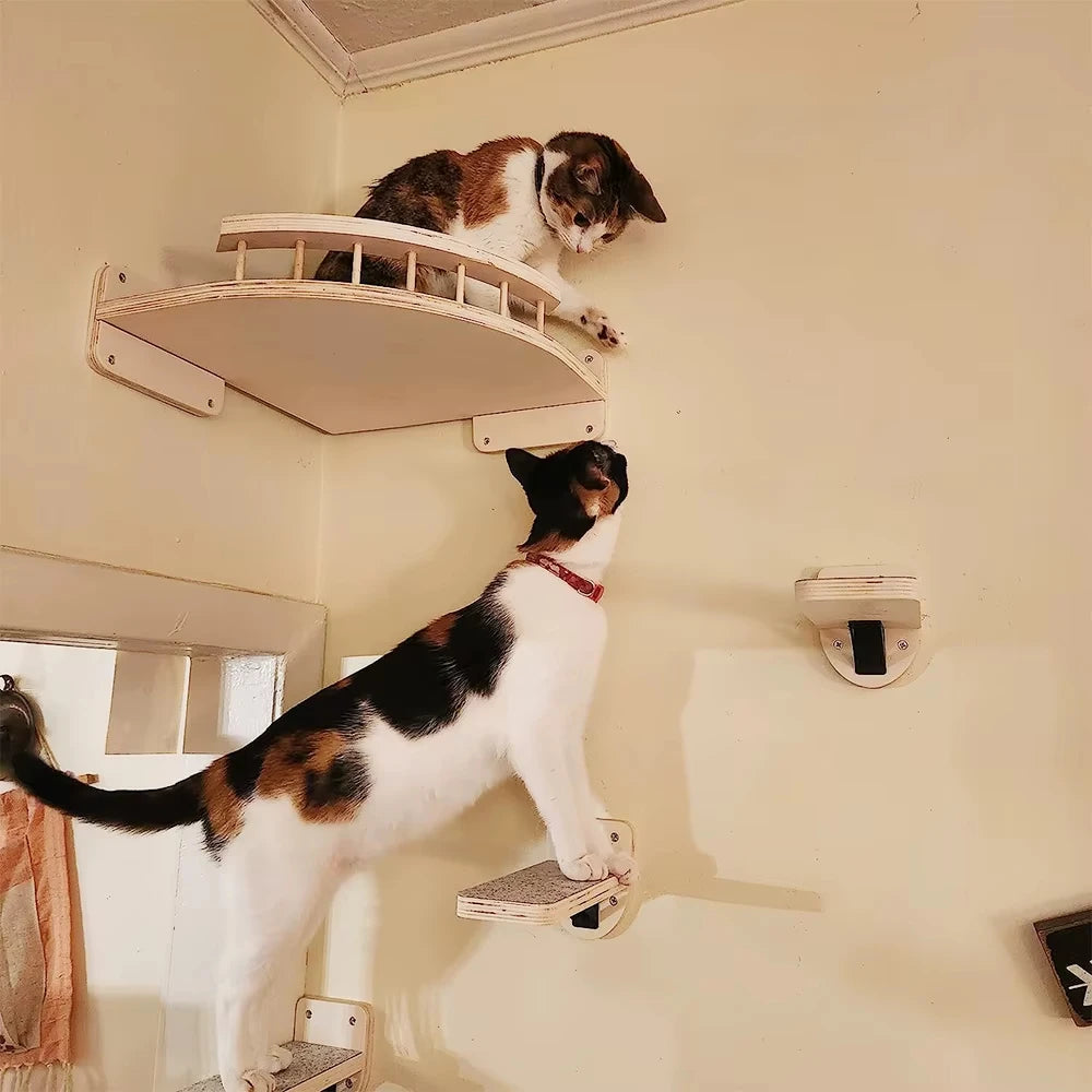 CWV Corner Cat Tree With Steps Wall Mounted Indoor Furniture