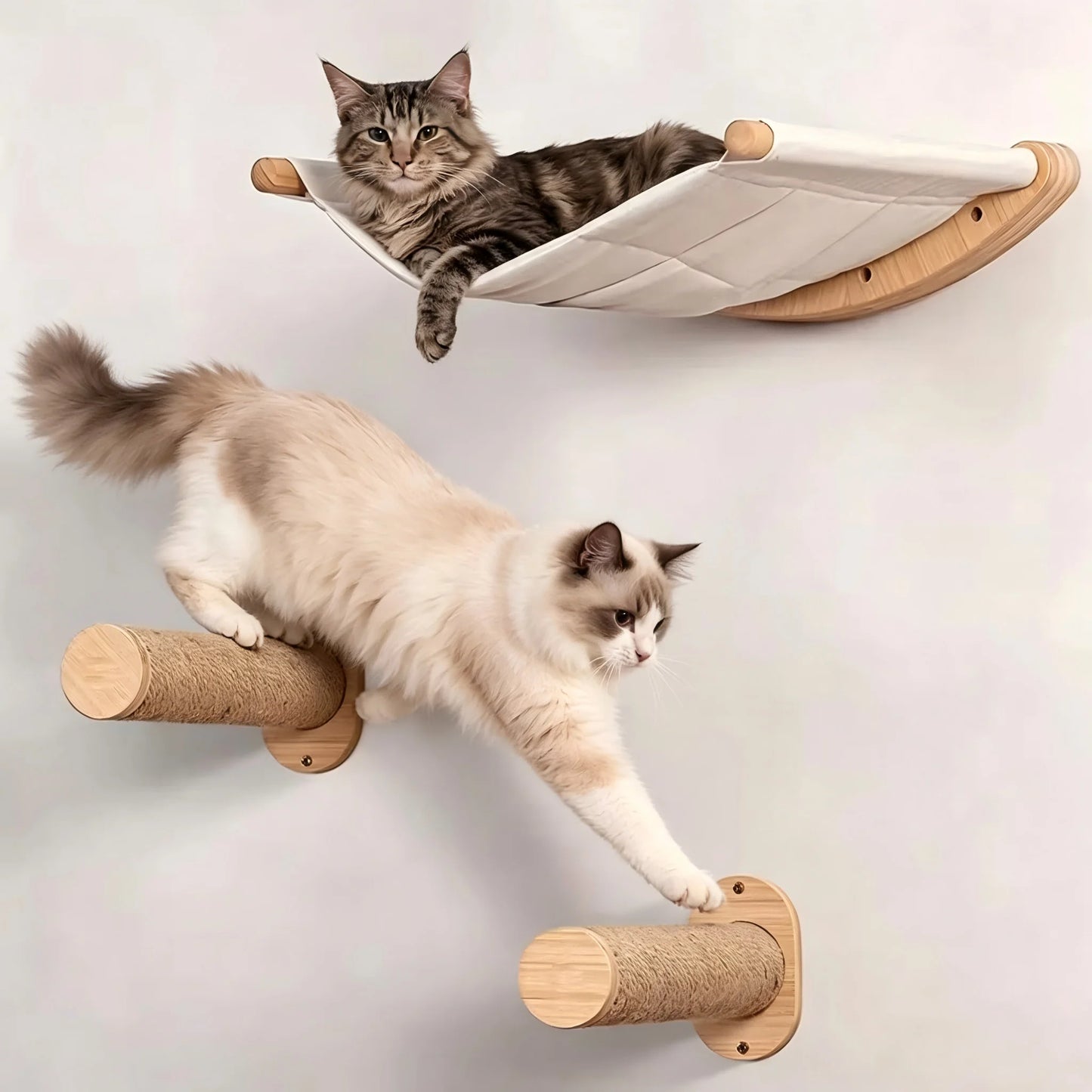 CWV Wall Mounted Cat Hammock and Climbing Shelves Indoor Cats