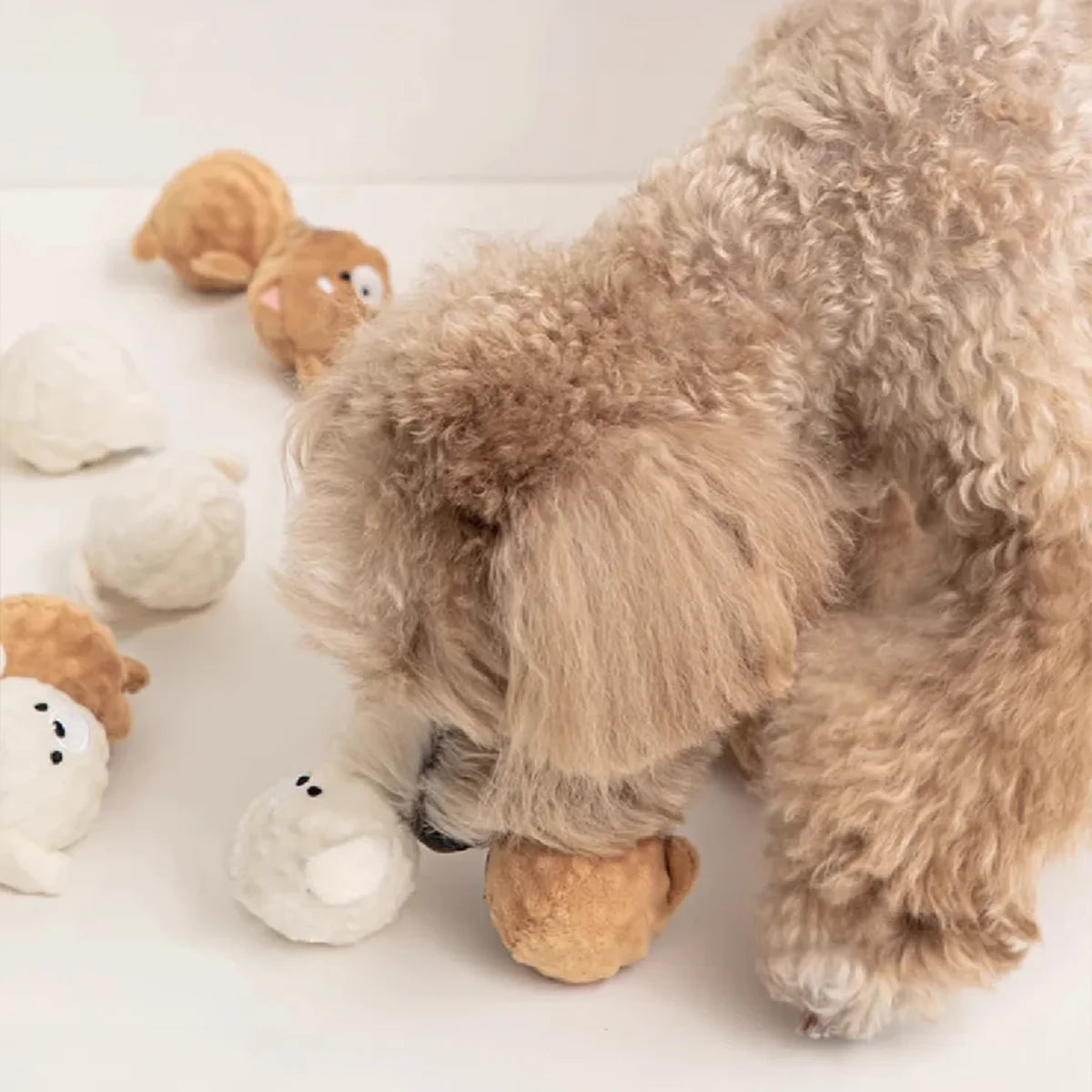Squeaky Puppy Ball Toy Spiked Chew for Teeth Cleaning