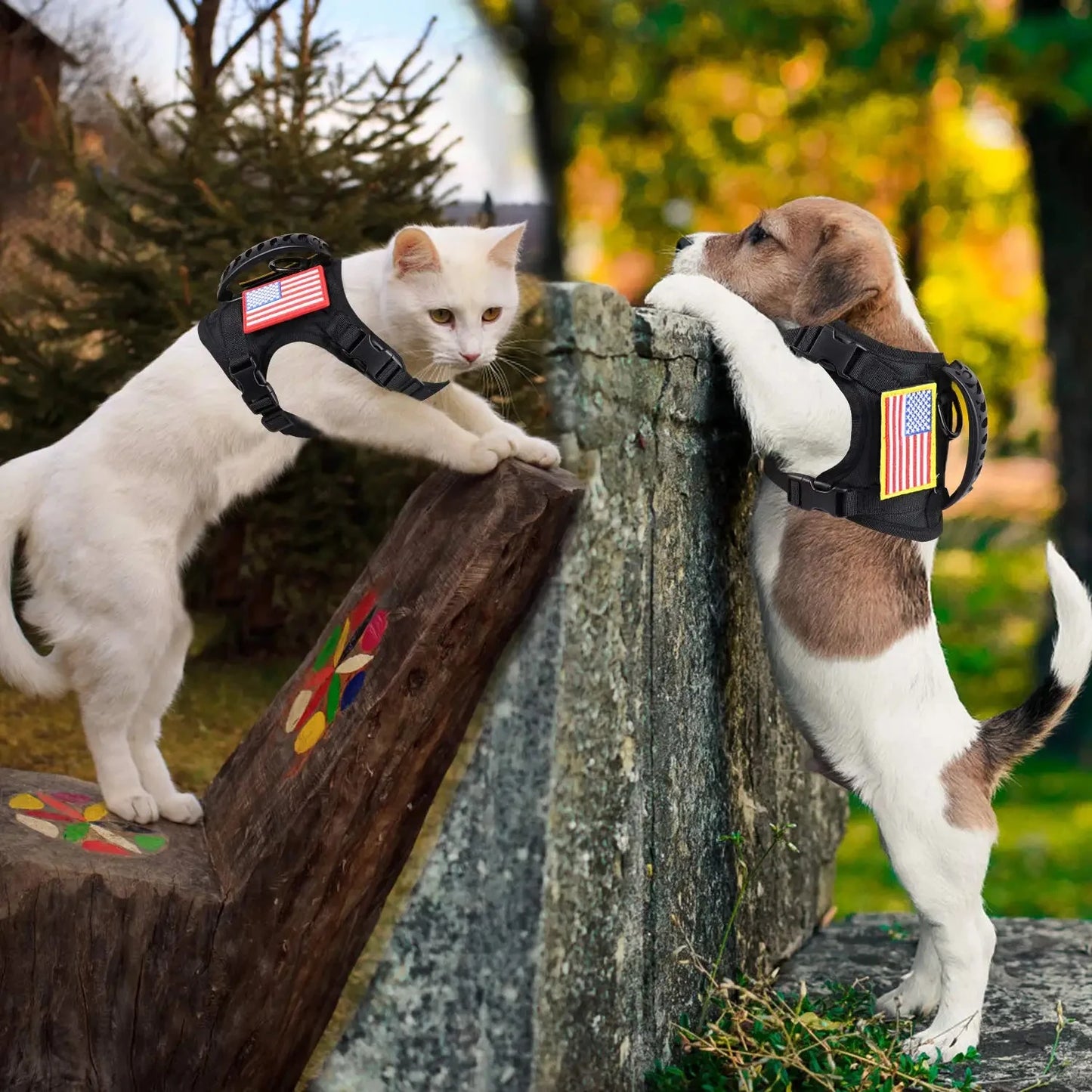 Tactical Harness And Leash Set For Pets Adjustable Comfort Vest
