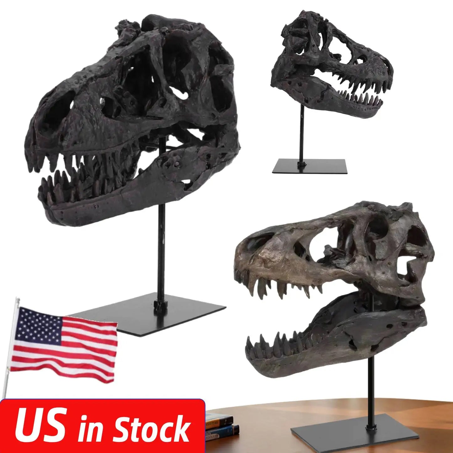 Dinosaur Skull Resin Replica Head With Bracket