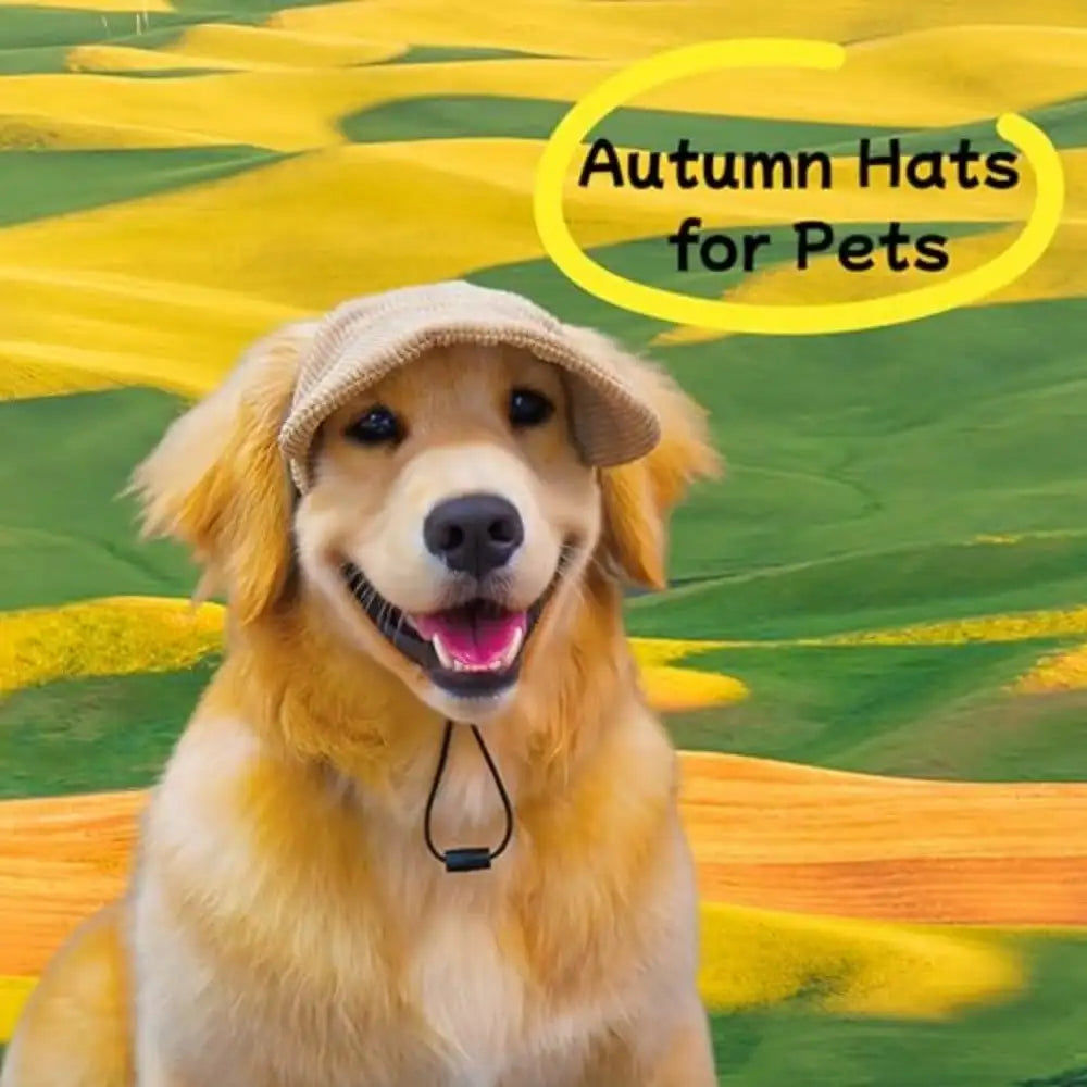 Pet Ear Hole Baseball Cap Sun Visor Hat For Dogs