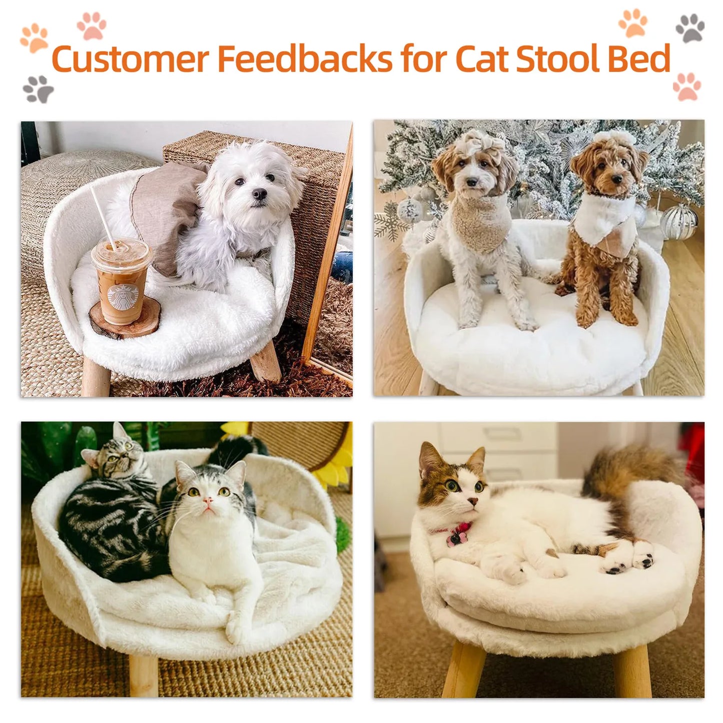 BINGOPAW Raised Pet Sofa Bed With Removable Cushion
