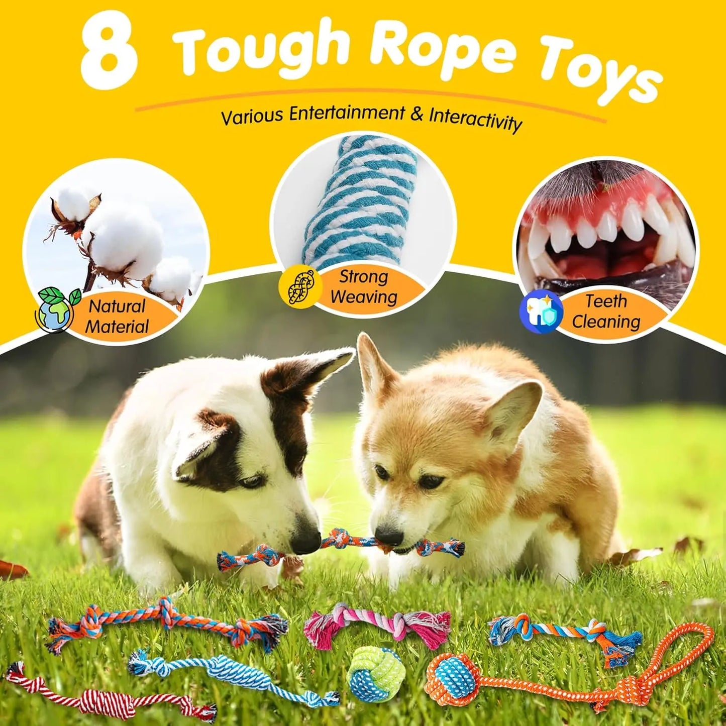 Zea Luxury Dog Chew Toys Kit With Ropes Squeaky Ball
