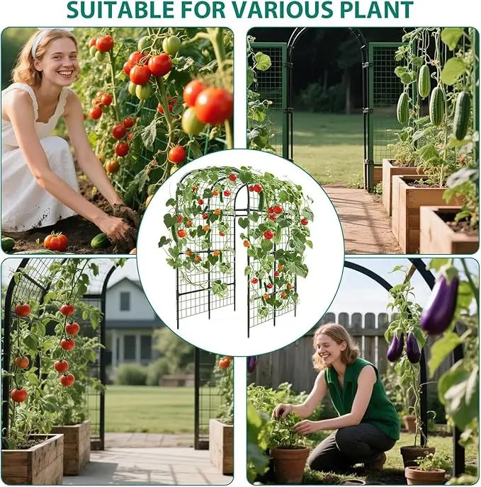 Metal Garden Arch Trellis Heavy Duty For Raised Beds And Climbing Plants