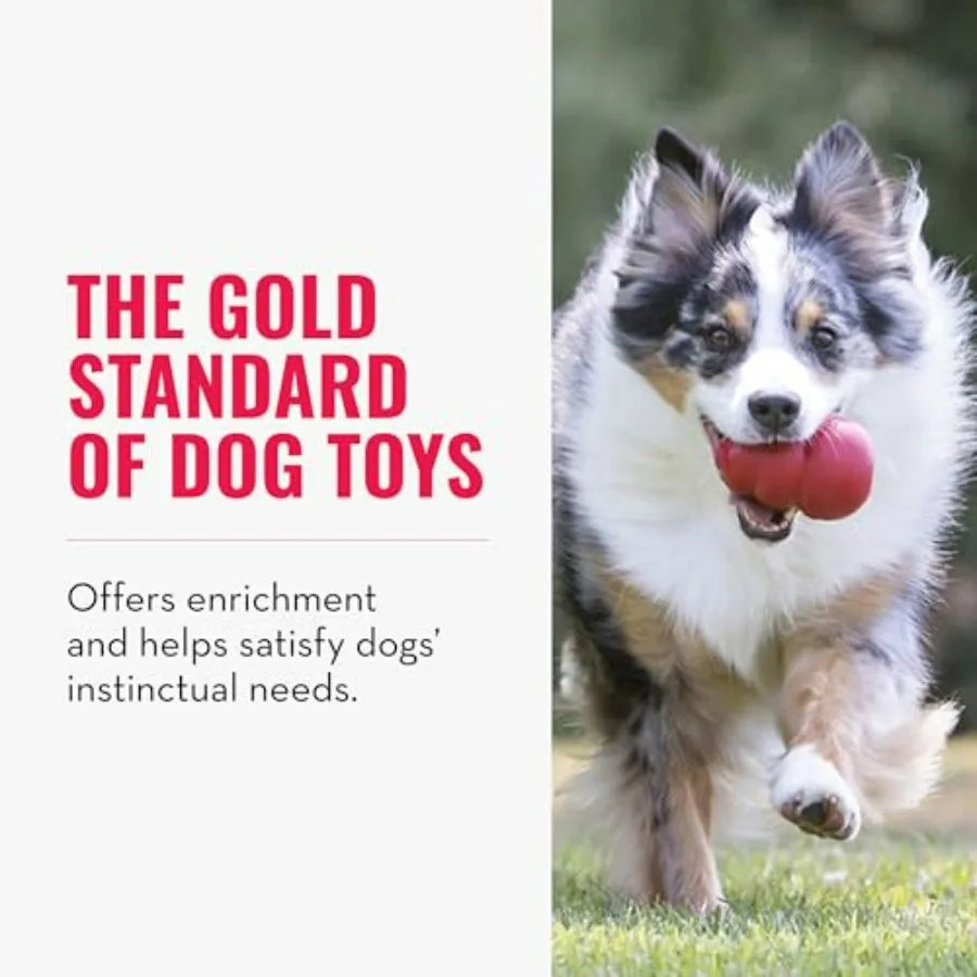 Stuffable Dog Chew Toy With Treat Filling And Erratic Bounce For Dogs