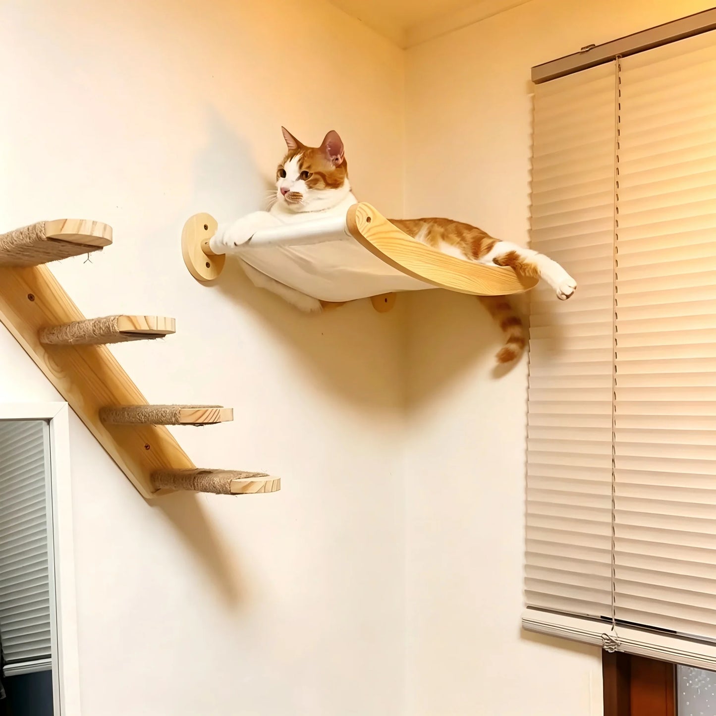 CWV Cat Wall Mounted Hammock And Stairway Climbing Shelf