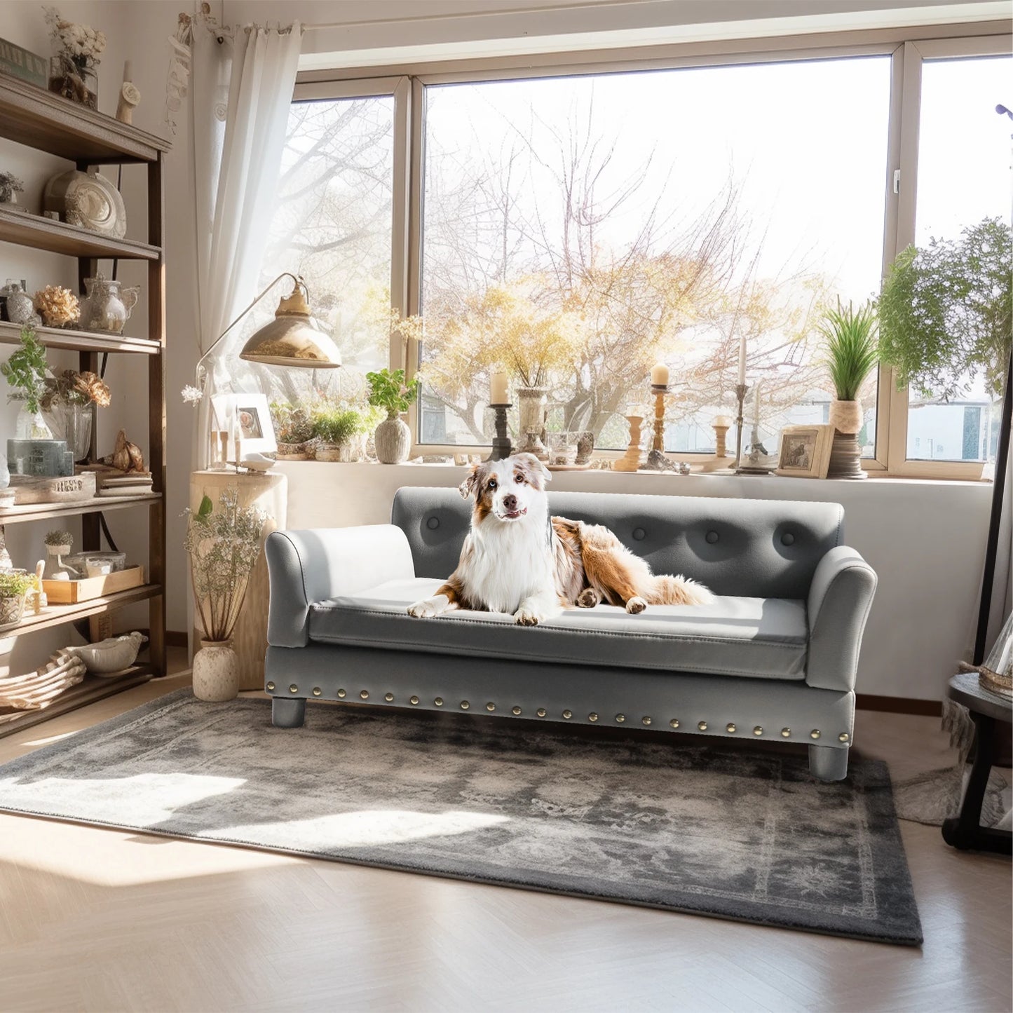 Bingopaw Elevated Pet Sofa Bed With Removable Microfiber Cushion