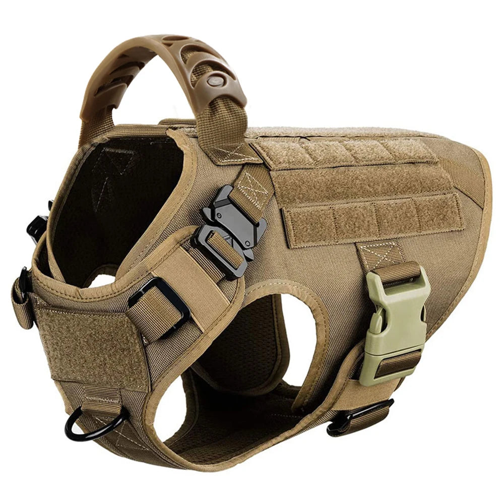 Durable Dog Harness And Leash Set For Training And Walking