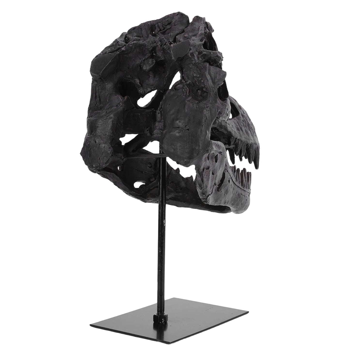 Dinosaur Skull Resin Replica Head With Bracket