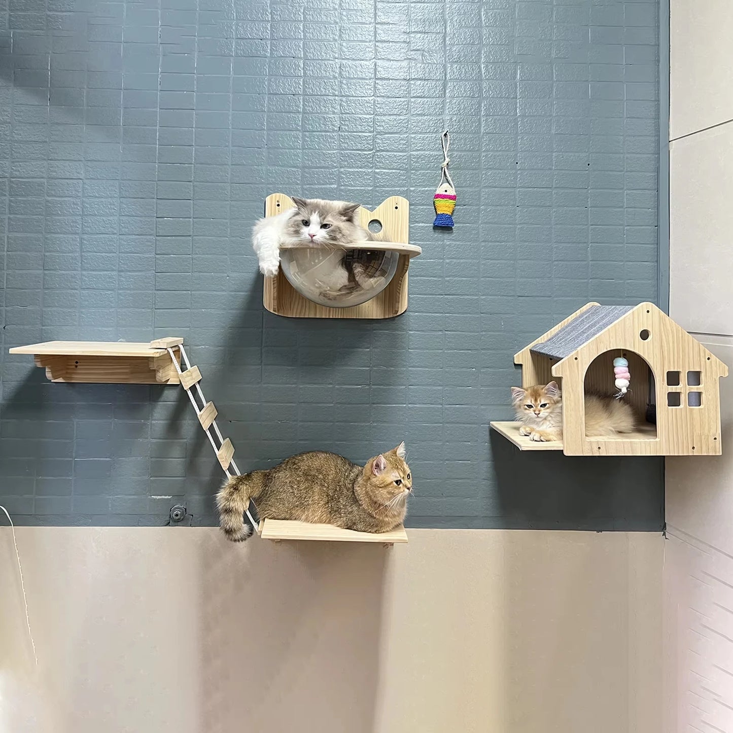 Wooden Wall Mounted Cat Condo Villa Shelf For Cats