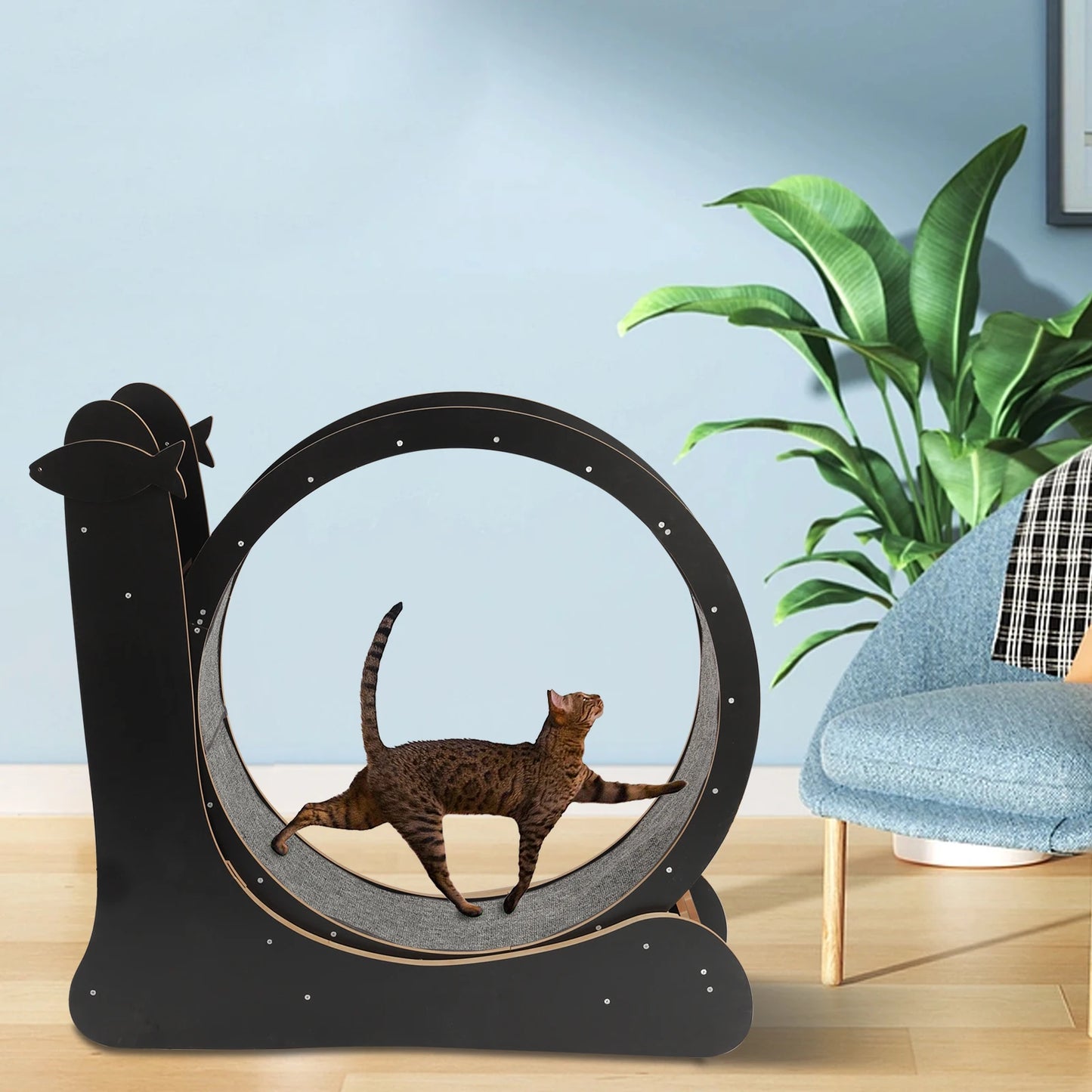 Cat Exercise Wheel Treadmill With Carpeted Runway