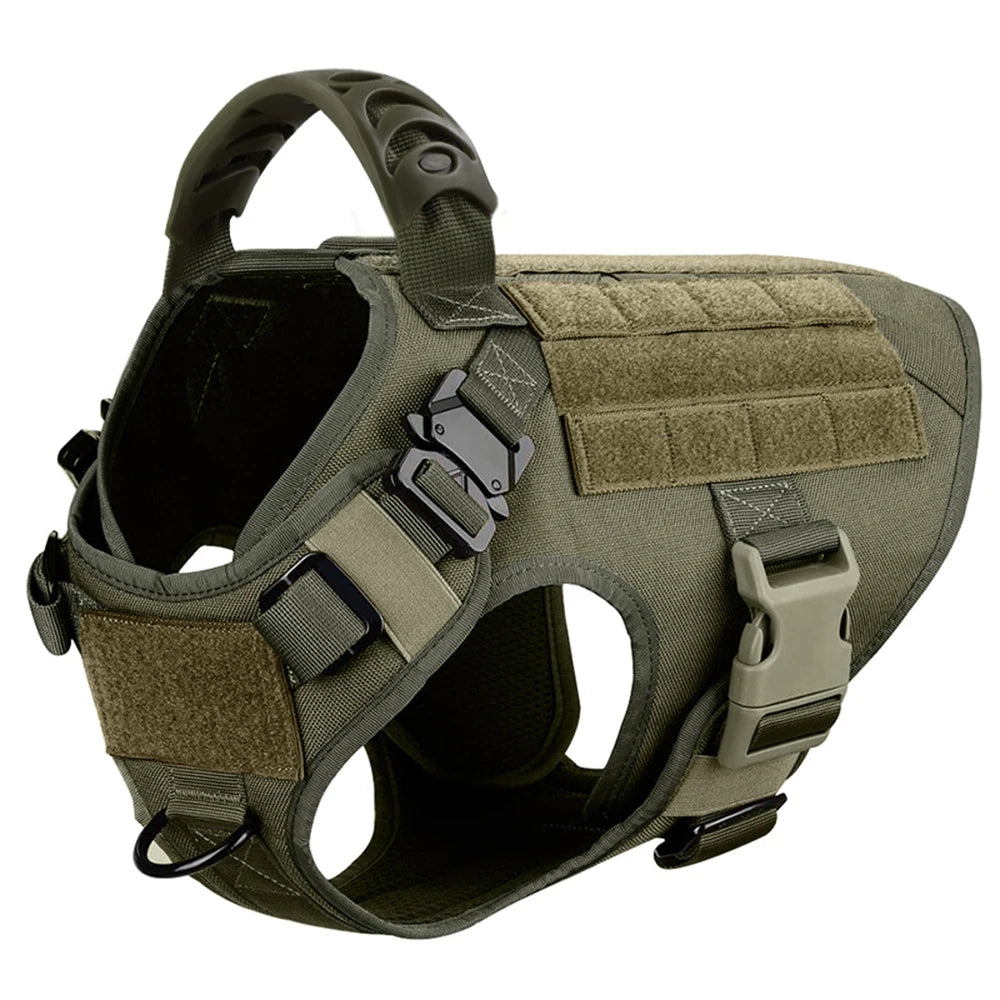 Durable Dog Harness And Leash Set For Training And Walking