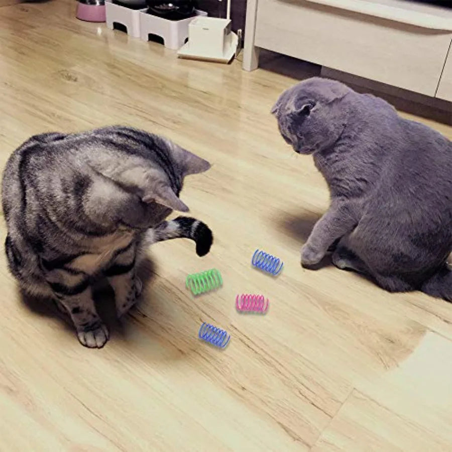 Interactive Cat Spiral Toy for Exercise and Play