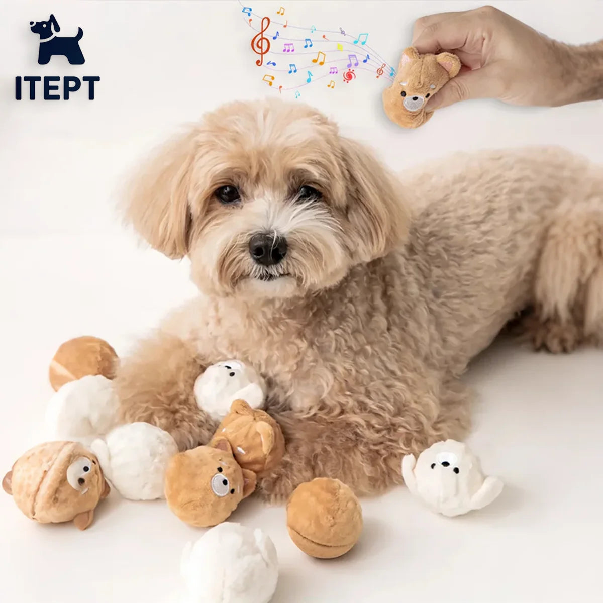 Squeaky Puppy Ball Toy Spiked Chew for Teeth Cleaning