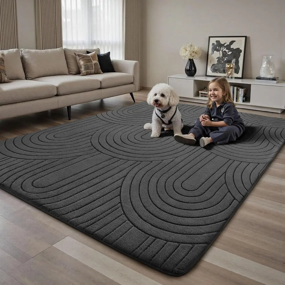 Modern Area Rug For Living Room Anti Slip Machine Washable Polyester