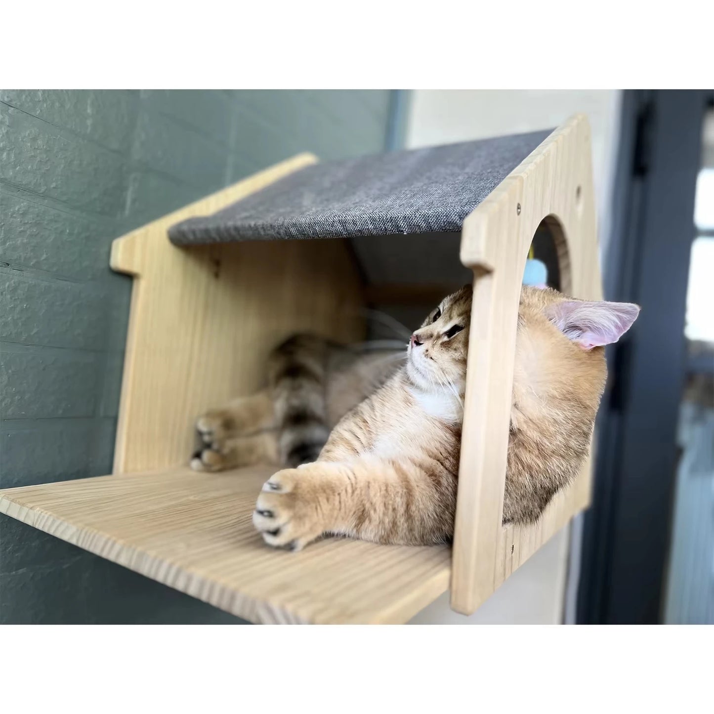 Wooden Wall Mounted Cat Condo Villa Shelf For Cats