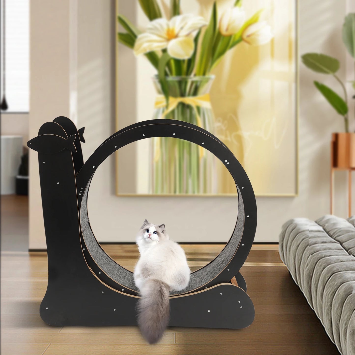Cat Exercise Wheel Treadmill With Carpeted Runway