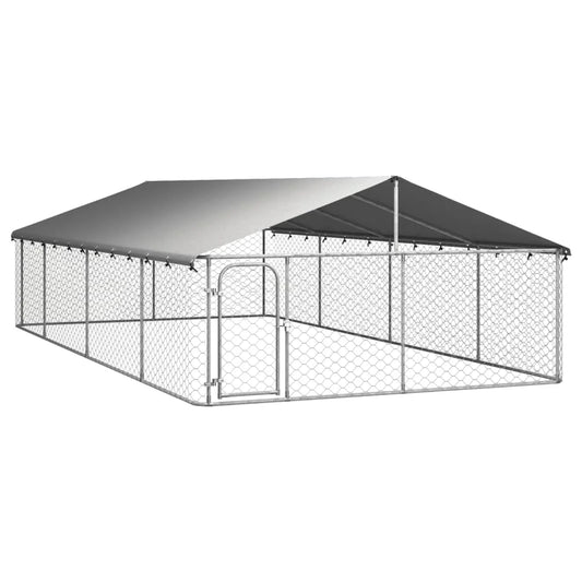 Outdoor Kennel With Roof Galvanized Steel Construction