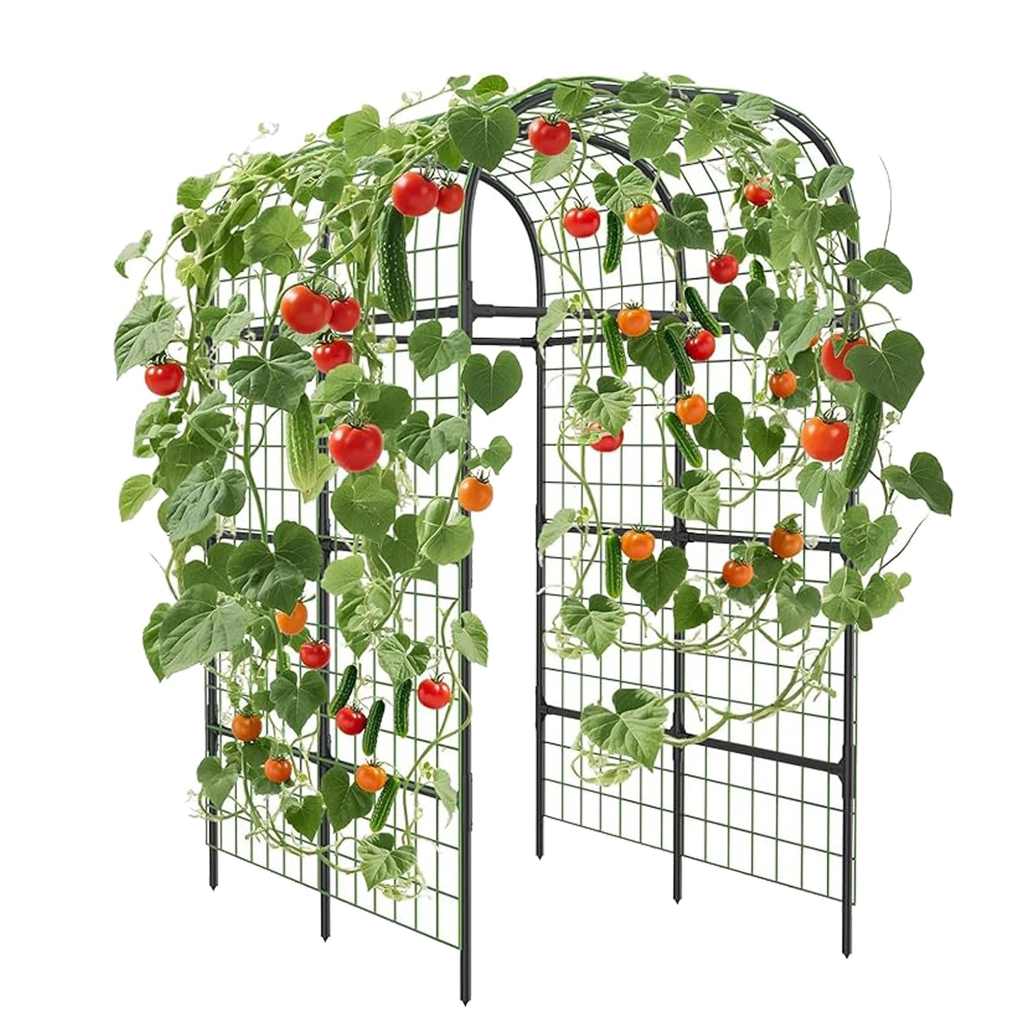 7.3 ft Metal Garden Arch Trellis, Heavy-Duty u-Shape Trellis for Raised Beds for Cucumbers, Melons, Climbing Plants & Flowers, Weather
