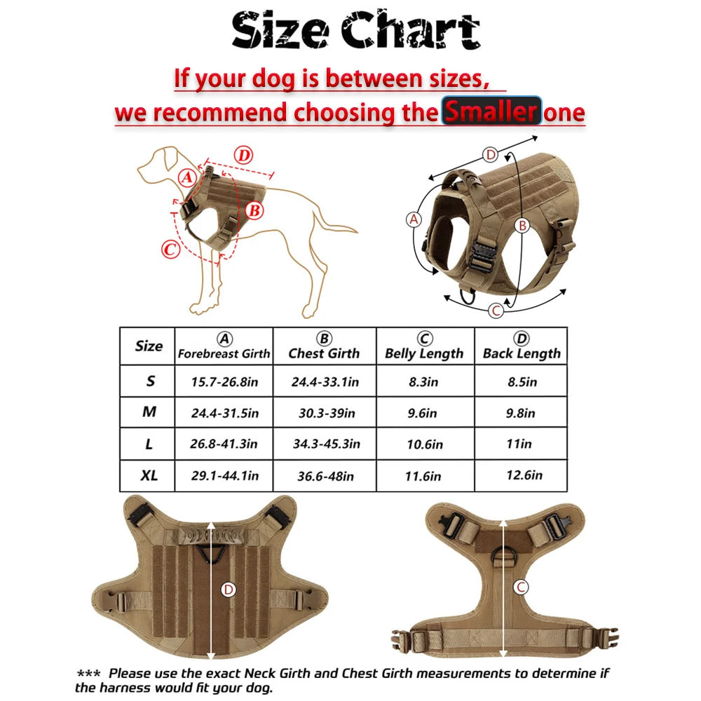 Durable Dog Harness And Leash Set For Training And Walking