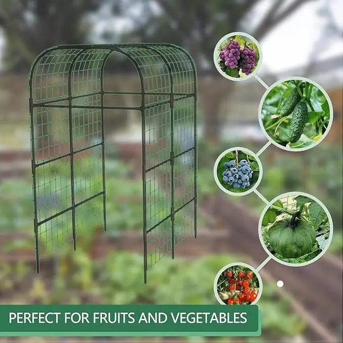 Metal Garden Arch Trellis Heavy Duty For Raised Beds And Climbing Plants