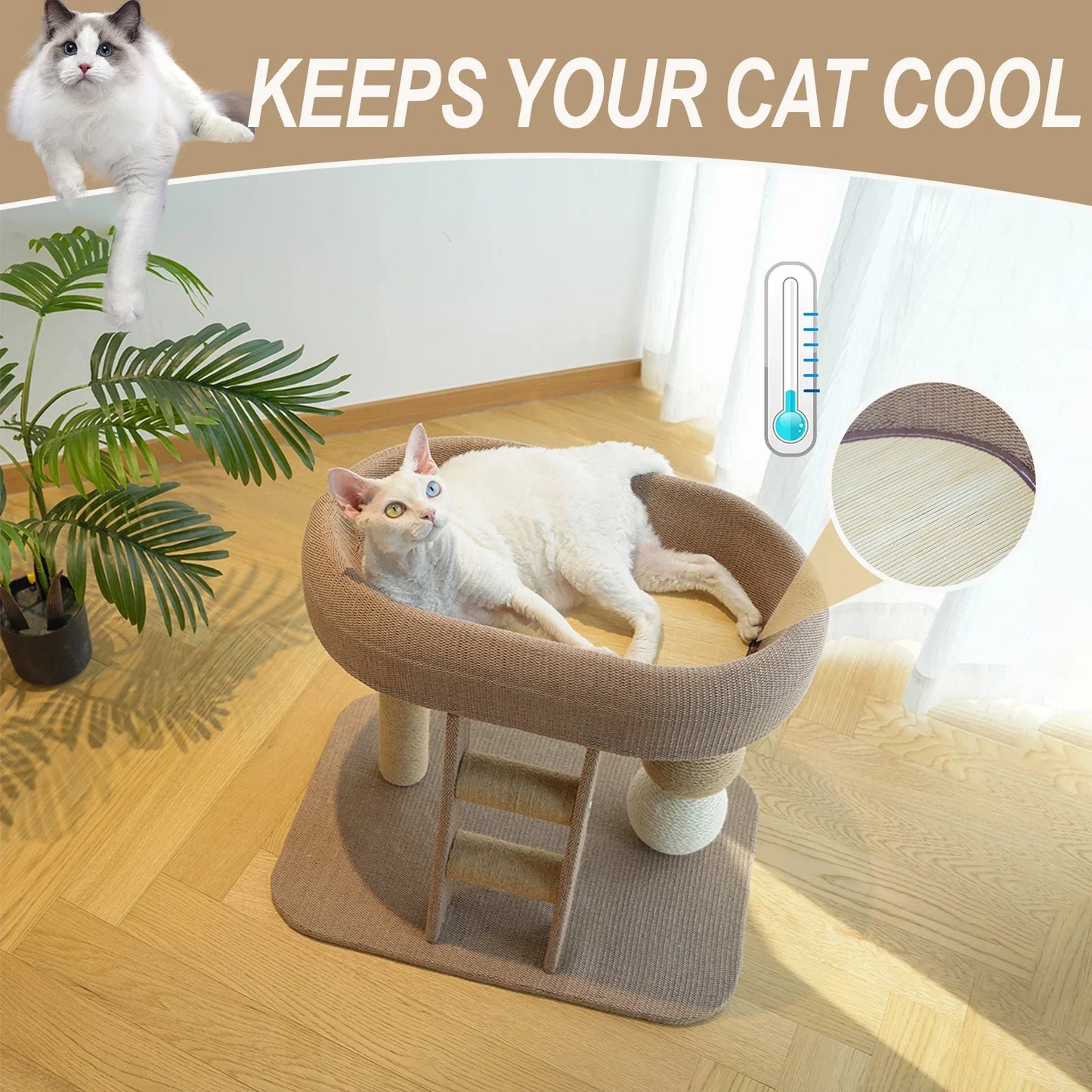 All-In-One Cat Tree With Sisal Posts Condo And Perches