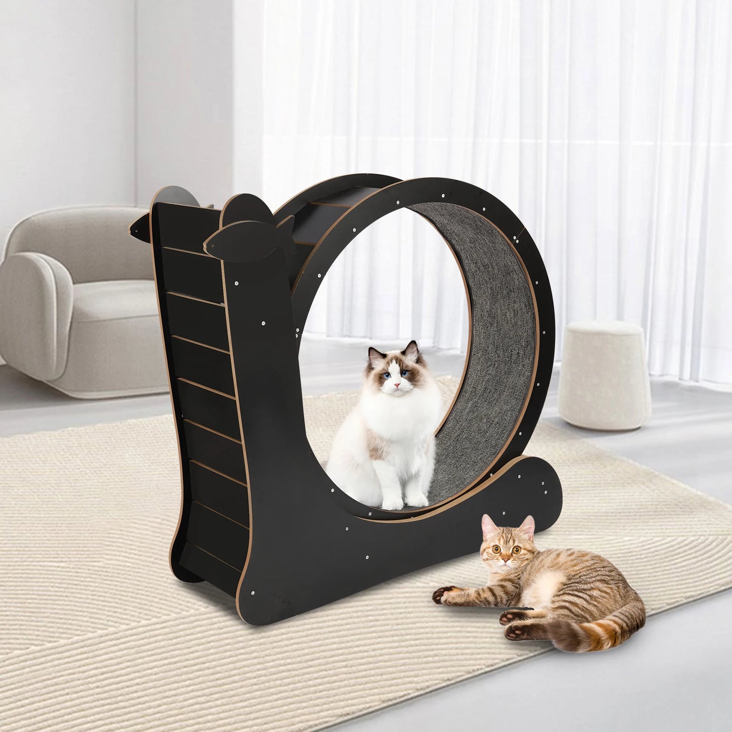 Cat Exercise Wheel Treadmill With Carpeted Runway