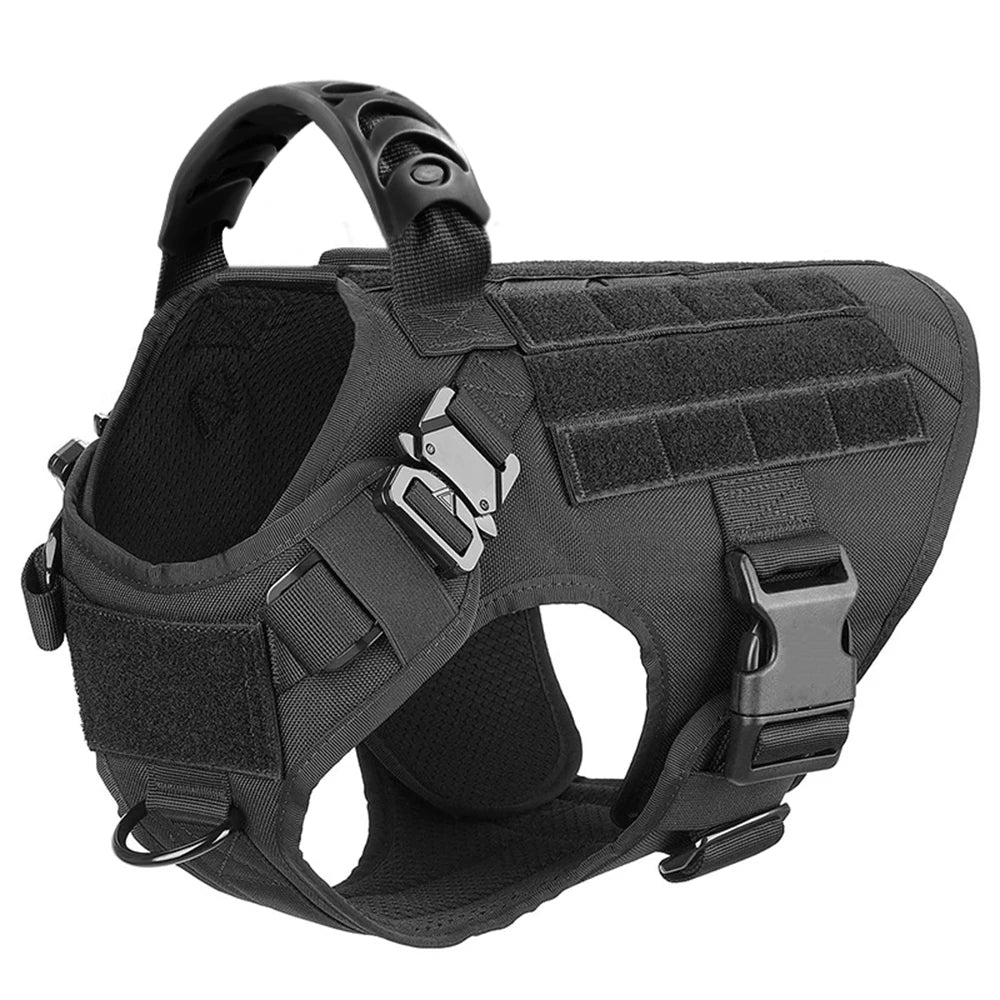 Durable Dog Harness And Leash Set For Training And Walking