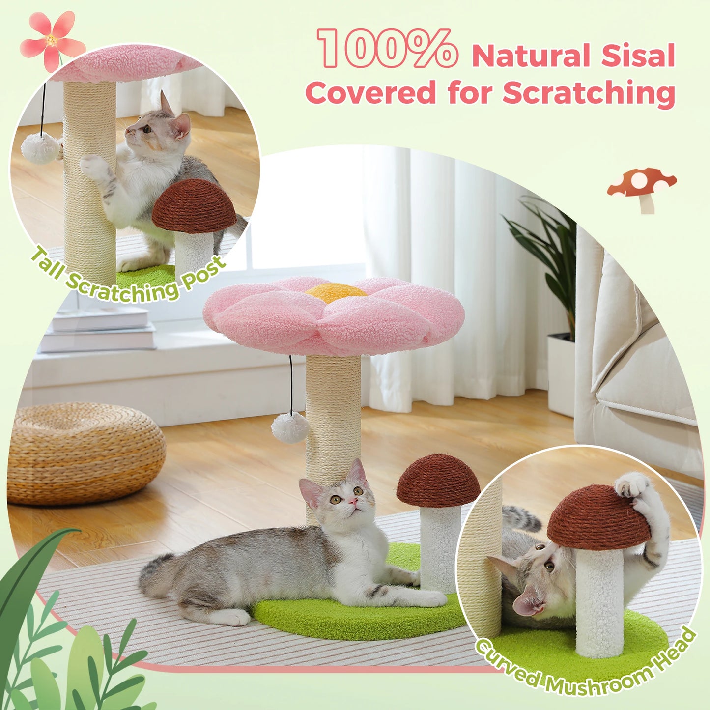 PAWZ Road Cat Scratching Post With Flower Bed Toy Ball