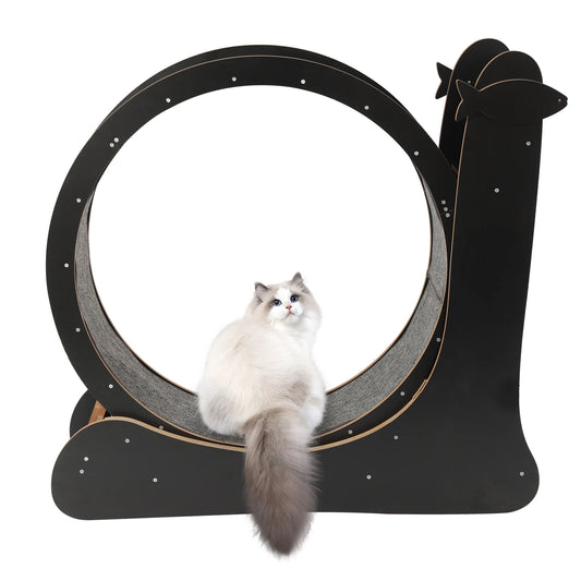 Cat Exercise Wheel Treadmill With Carpeted Runway