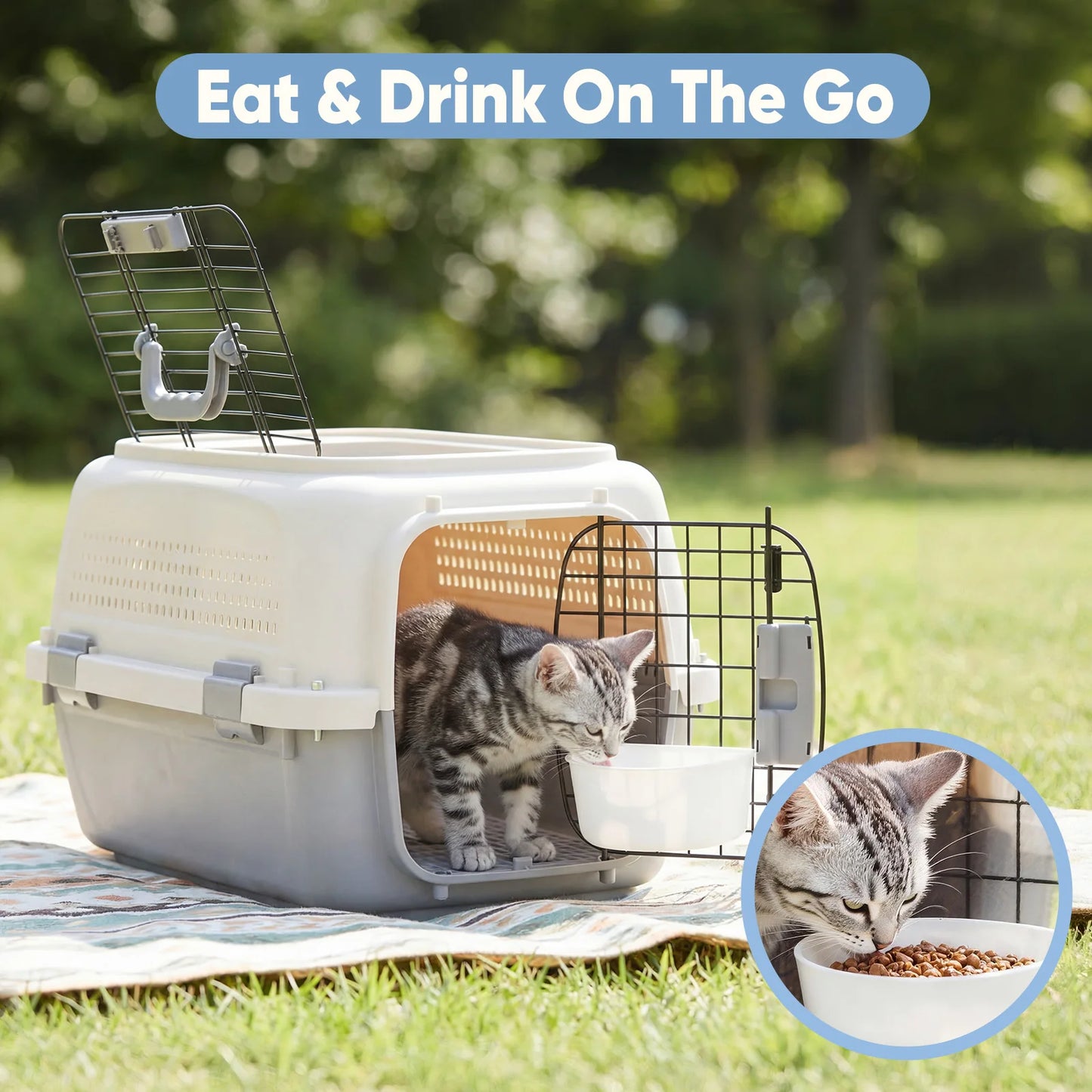 Pet Carrier For Dogs And Cats Front Top Load Wire Door Travel Crate