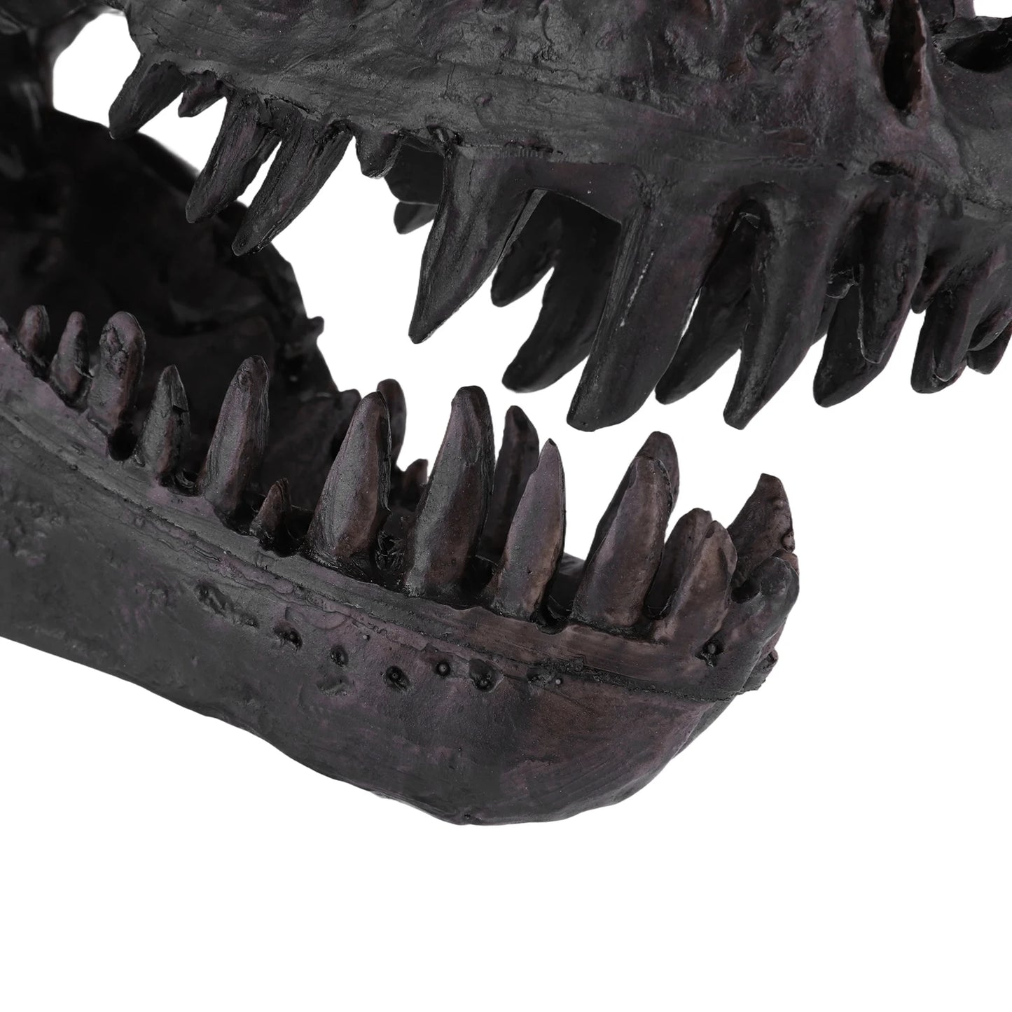 Dinosaur Skull Resin Replica Head With Bracket