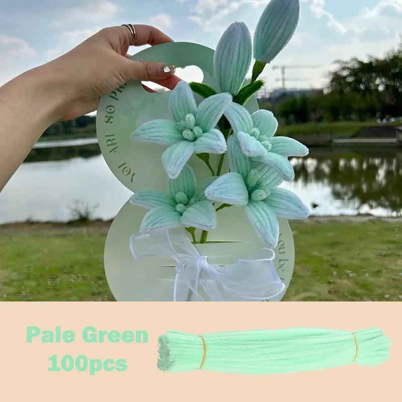 Colorful Chenille Stems Pipe Cleaners Set For DIY Crafts