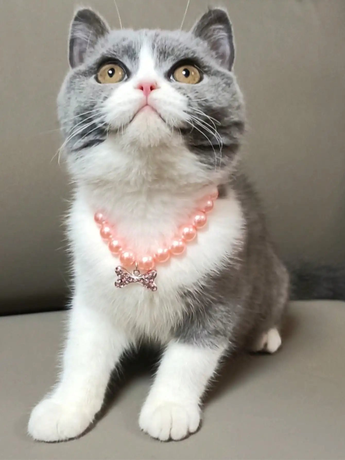 Pet Pearl Rhinestone Bone Necklace Accessory For Cats And Dogs