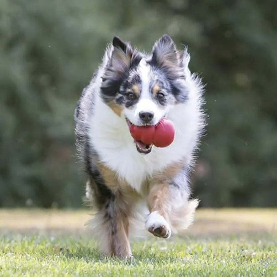 Classic Stuffable Dog Toy With Treat Filling And Erratic Bounce