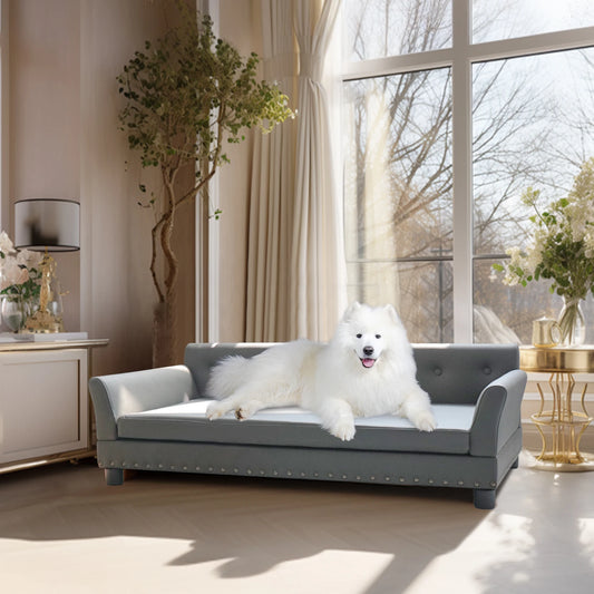 Bingopaw Elevated Pet Sofa Bed With Removable Microfiber Cushion