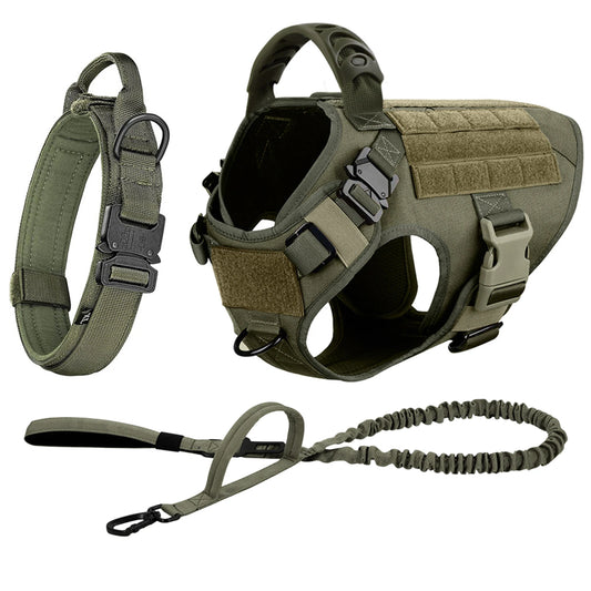 Durable Dog Harness And Leash Set For Training And Walking