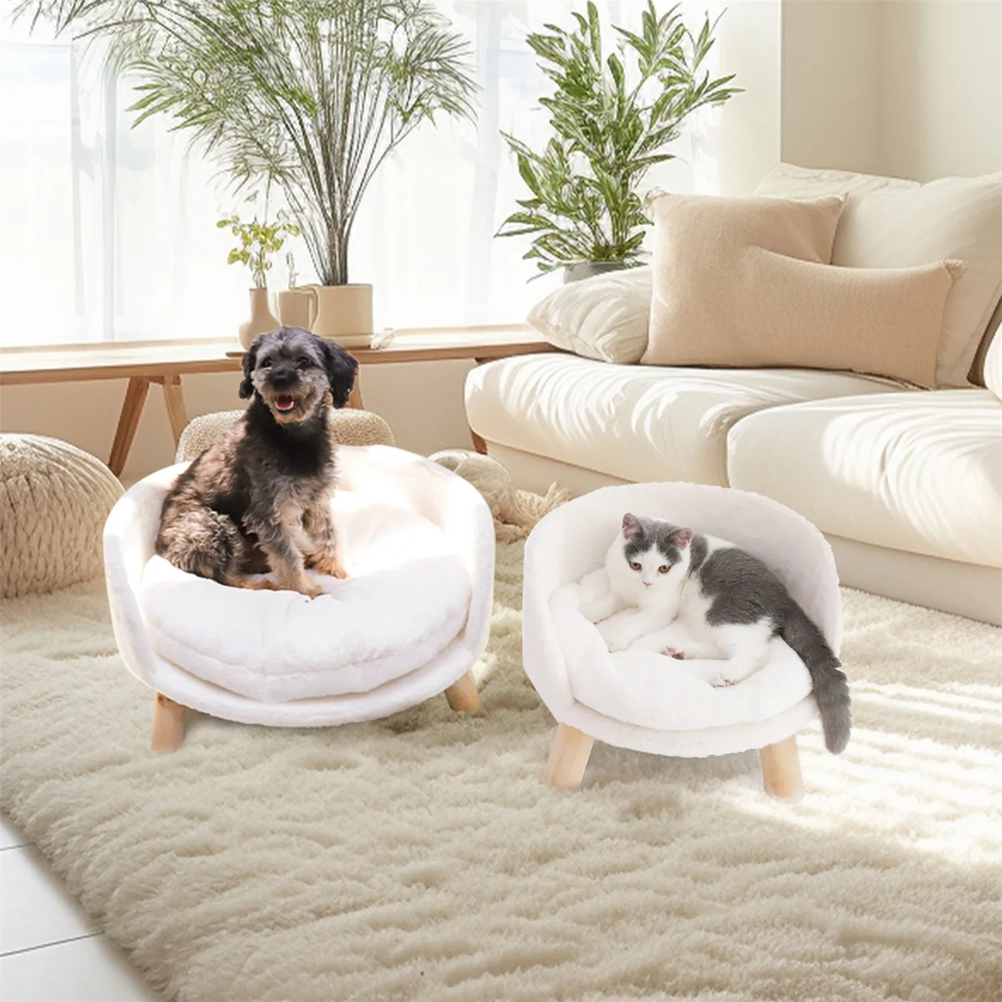 BINGOPAW Raised Pet Sofa Bed With Removable Cushion