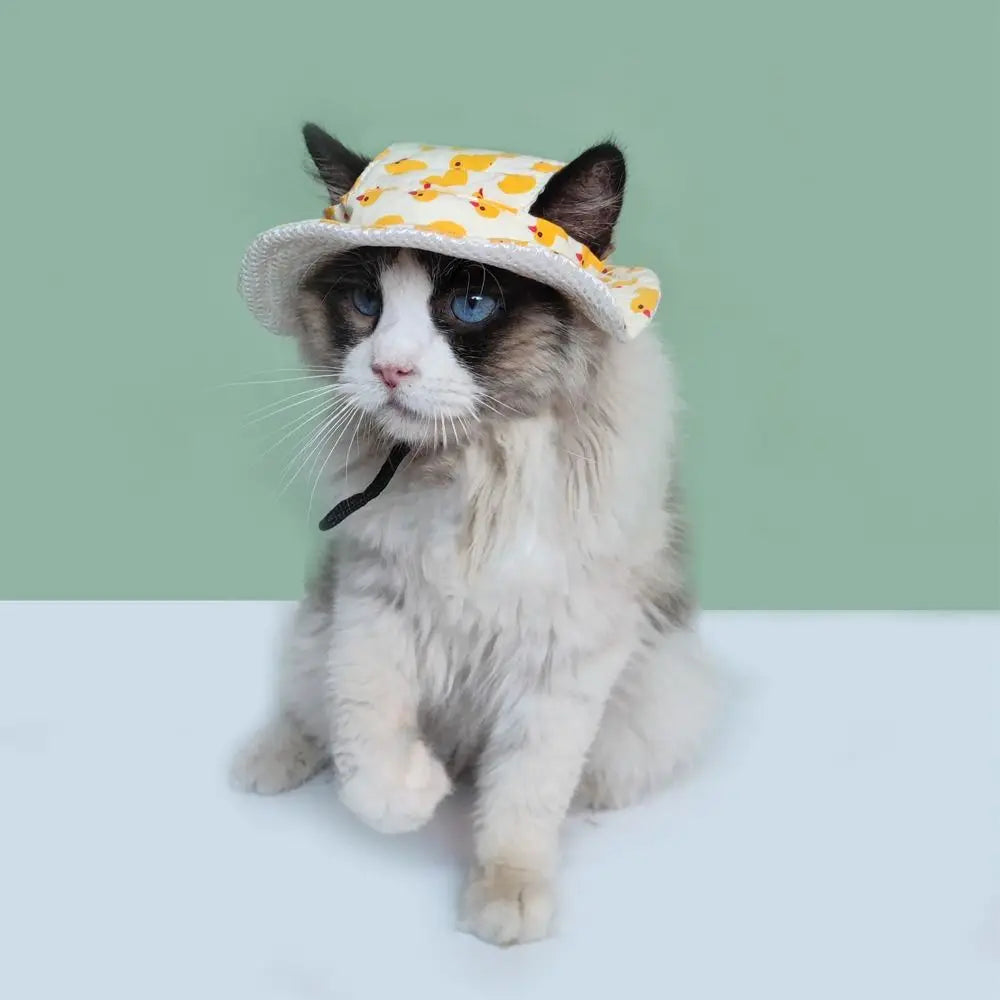 Adjustable Pet Sun Hat For Cats And Dogs Breathable Sunshade